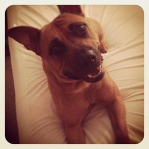 Meet your Posher, Jennifer